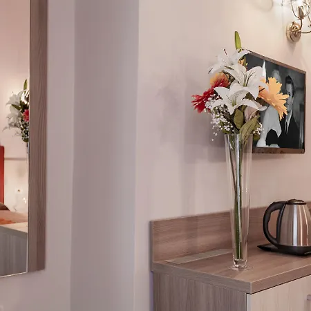 Domus Napoleone روما