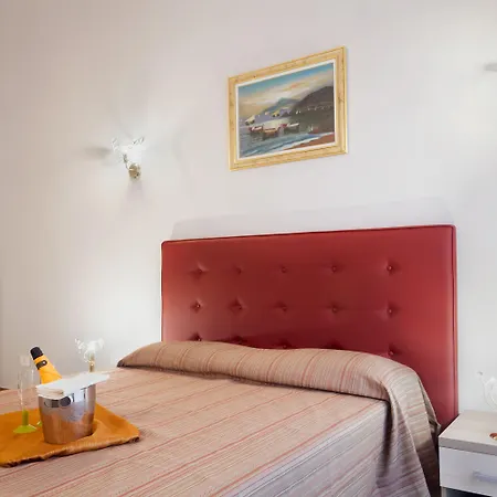 بيت ضيافة Domus Napoleone روما